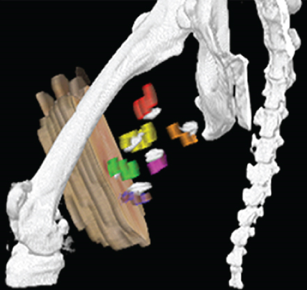 Details are in the caption following the image Details are in the caption following the image