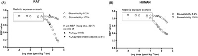 Physiologically-Based Kinetic Modeling Predicts Similar In Vivo Relative Potency of Senecionine N-Oxide for Rat and Human at Realistic Low Exposure Levels