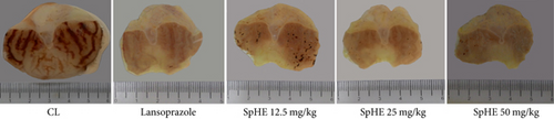 Details are in the caption following the image Details are in the caption following the image