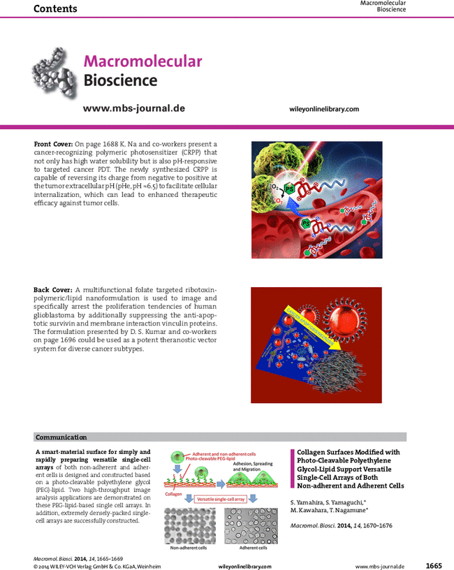First page image