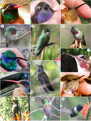 Details are in the caption following the image Details are in the caption following the image