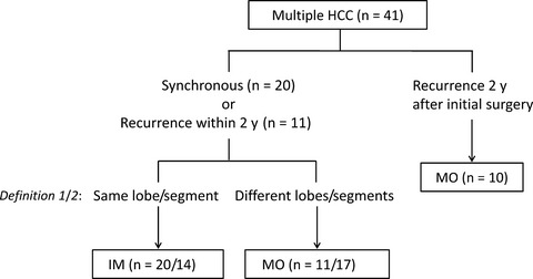 Spatial and temporal expansion of intrahepatic metastasis by molecularly-defined clonality in multiple liver cancers