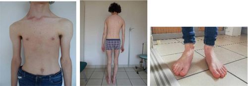 Details are in the caption following the image Details are in the caption following the image