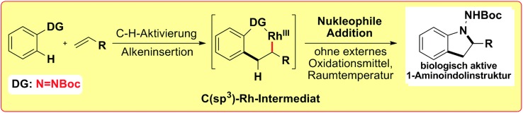 Rhodium(III)-katalysierte Abfangcyclisierung zu vielfältigen 1-Aminoindolinderivaten bei Raumtemperatur