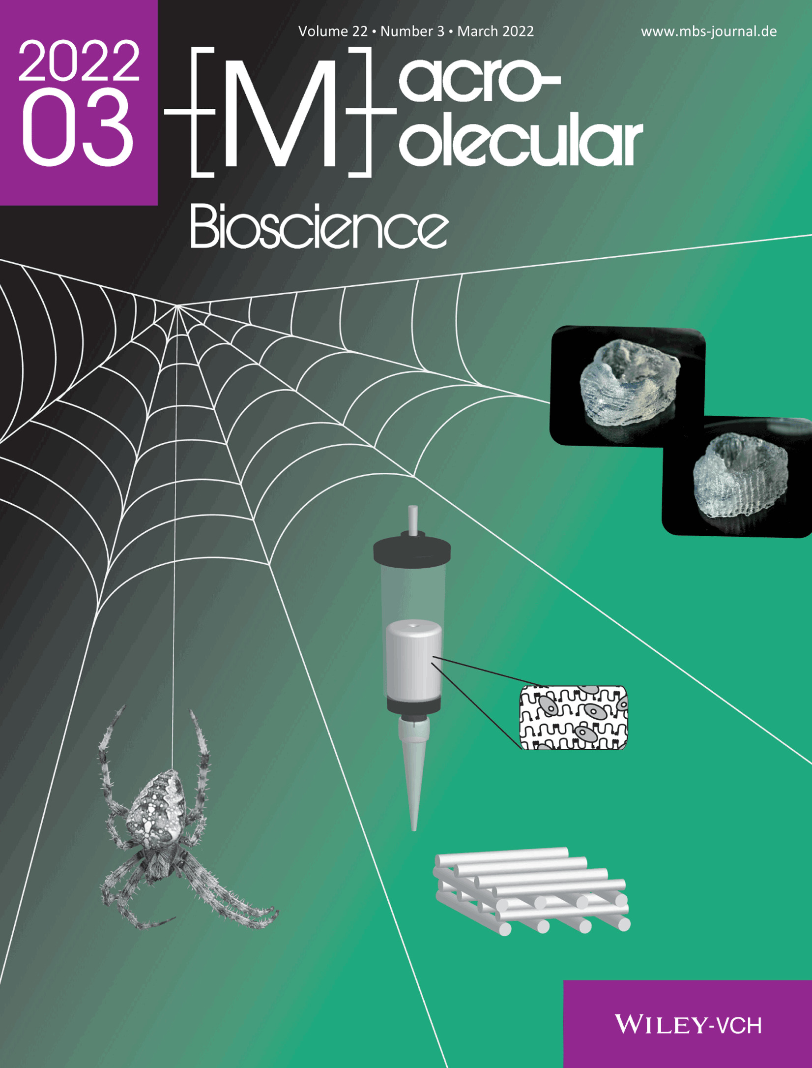 Impact of Cell Loading of Recombinant Spider Silk Based Bioinks on Gelation and Printability Volume 22 Issue 3, 2022