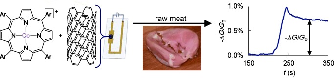 Single-Walled Carbon Nanotube/Metalloporphyrin Composites for the Chemiresistive Detection of Amines and Meat Spoilage