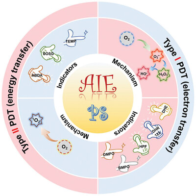 Type I AIE photosensitizers: Mechanism and application Issue 2, 2022