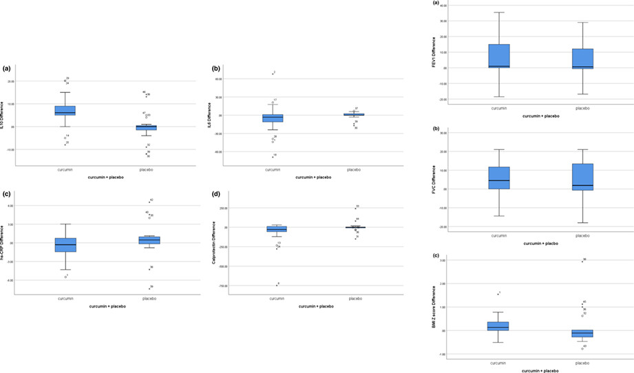 Adjunctive nano-curcumin therapy improves inflammatory and clinical indices in children with cystic fibrosis: A randomized clinical trial