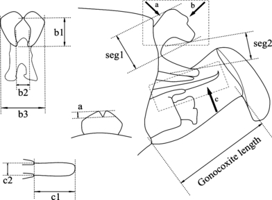 Details are in the caption following the image Details are in the caption following the image