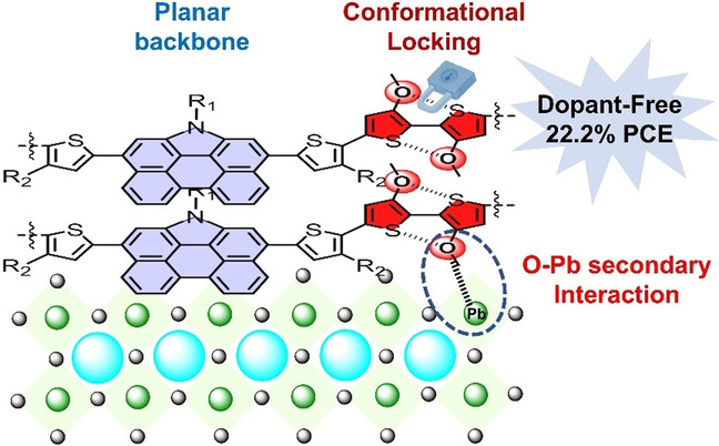 A Phenanthrocarbazole-Based Dopant-Free Hole-Transport Polymer with Noncovalent Conformational Locking for Efficient Perovskite Solar Cells