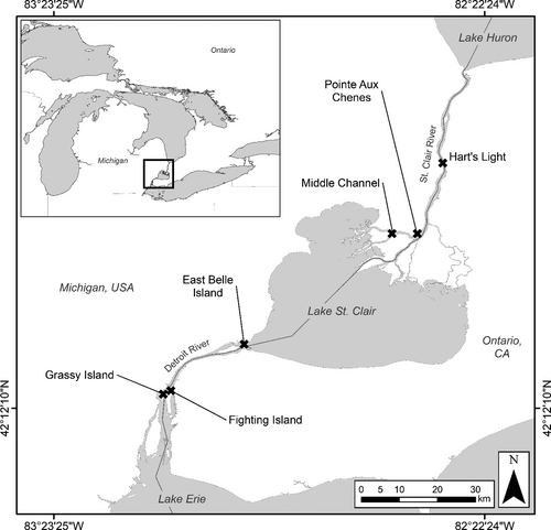 Details are in the caption following the image Details are in the caption following the image