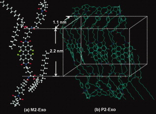 Synthesis of ladder-like polynorbornenes with n-type perylenendiimide derivatives as bridges