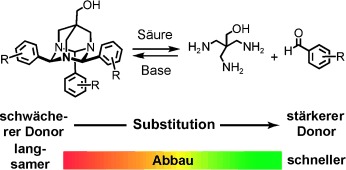 Substituted 1,3,5-Triazaadamantanes: Biocompatible and Degradable Building Blocks