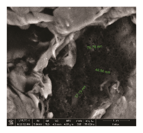 Details are in the caption following the image