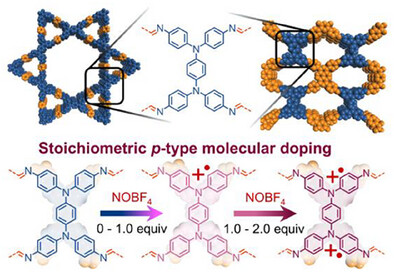 Hopping-Type Charge Transport in Controllably p-Doped Polaronic Two-Dimensional Polymers