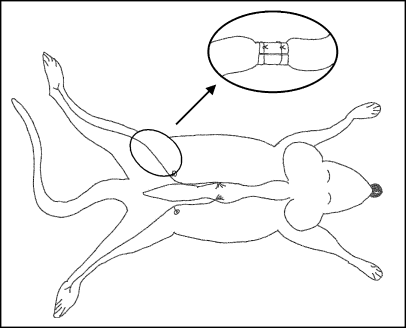 Details are in the caption following the image Details are in the caption following the image