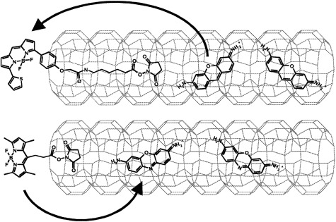 Trapping Energy from and Injecting Energy into Dye–Zeolite Nanoantennae