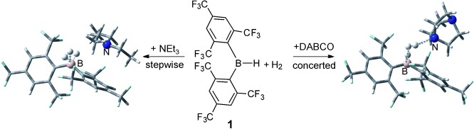 Heterolytic Cleavage of Dihydrogen by “Frustrated Lewis Pairs” Comprising Bis(2,4,6-tris(trifluoromethyl)phenyl)borane and Amines: Stepwise versus Concerted Mechanism
