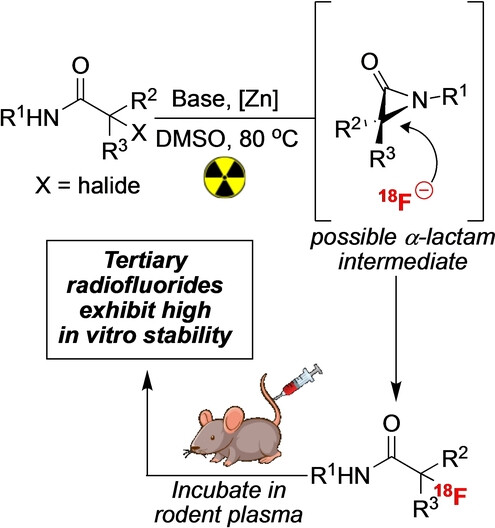 Zinc-Mediated Radiosynthesis of Unprotected Fluorine-18 Labelled α-Tertiary Amides
