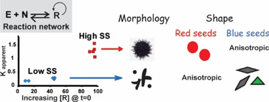Signaling in Systems Chemistry: Programing Gold Nanoparticles Formation and Assembly Using a Dynamic Bistable Network