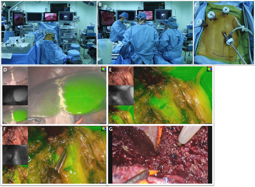 Details are in the caption following the image Details are in the caption following the image