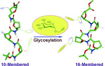 Sugar-Modified Foldamers as Conformationally Defined and Biologically Distinct Glycopeptide Mimics