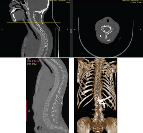 Details are in the caption following the image Details are in the caption following the image
