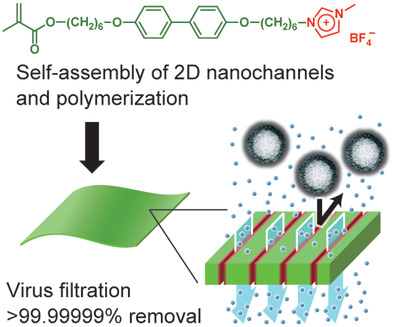 High Virus Removal by Self-Organized Nanostructured 2D Liquid-Crystalline Smectic Membranes for Water Treatment