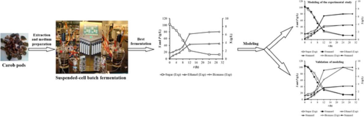 Mathematical modeling of batch bioethanol generation from carob extract in the suspended-cell stirred-tank bioreactor