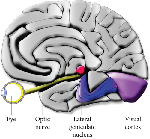 Details are in the caption following the image