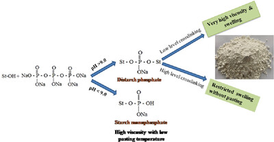 Optimization of Synthesis of Cassava Starch Phosphates by Response Surface Methodology and Characterization of the Modified Starches