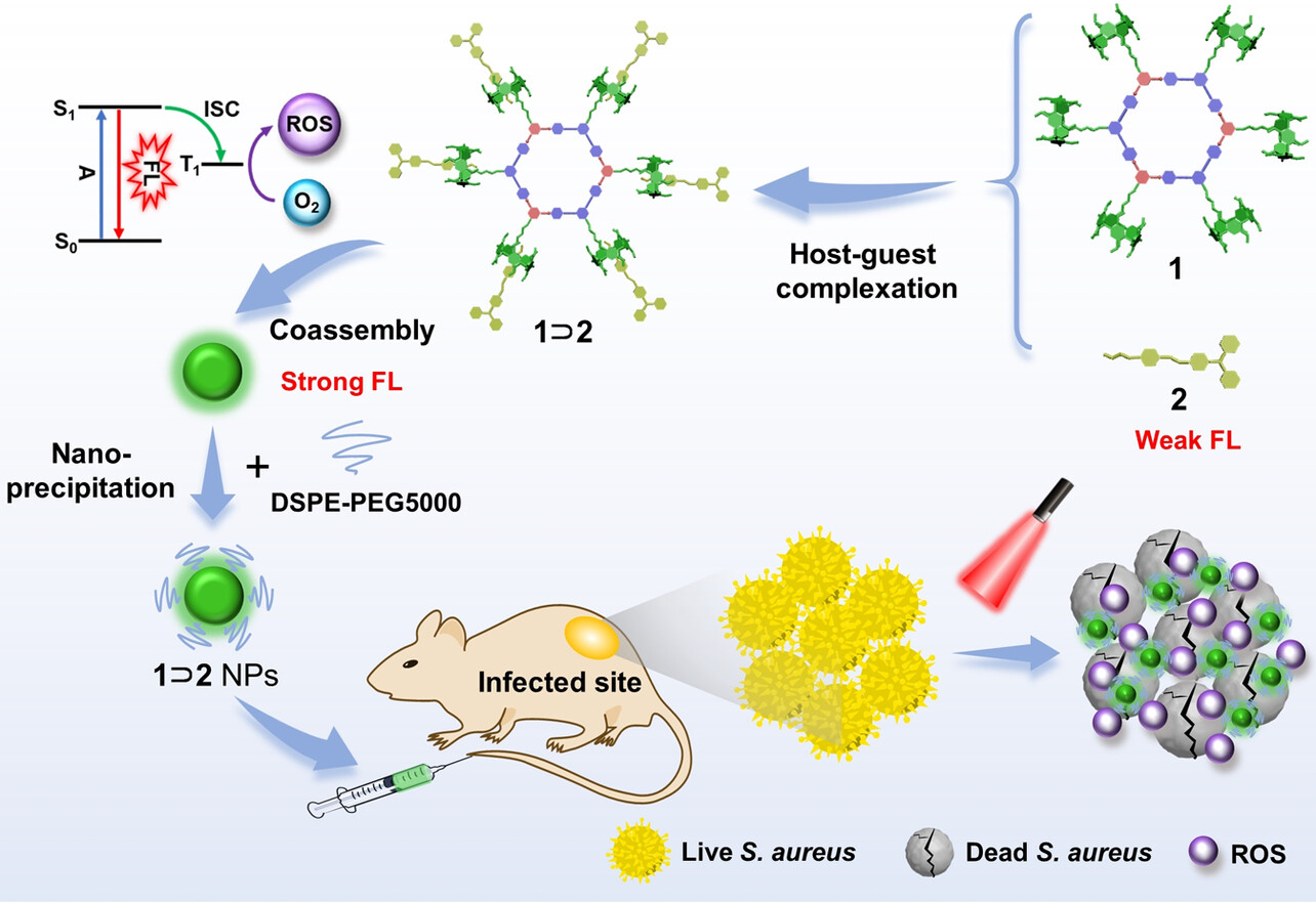 Design of a Metallacycle-Based Supramolecular Photosensitizer for In Vivo Image-Guided Photodynamic Inactivation of Bacteria