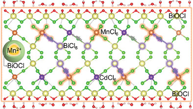 Moisture-Resistant Orange Emitters with Near-Unity Quantum Yield from Mn2+ Alloyed Vacancy-Ordered Quadruple Perovskites