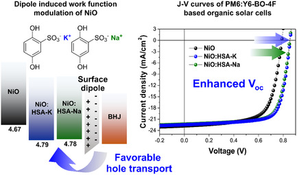 Highly Efficient Nonfullerene Organic Solar Cells with Nickel Oxide Hole-Transporting Layer: Using Dipole-Induced Energy-Level Modification