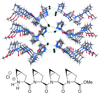 Structural Properties and Stereochemically Distinct Folding Preferences of 4,5-cis and trans-Methano-L-Proline Oligomers: The Shortest Crystalline PPII-Type Helical Proline-Derived Tetramer