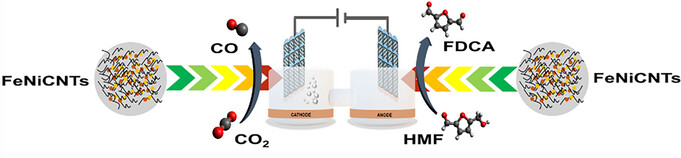 Simultaneous Electrochemical Upgrading of Biomass and CO2 Utilization Using Fe/Ni-Derived Carbon Nanotubes Derived from CO2
