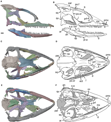 Details are in the caption following the image