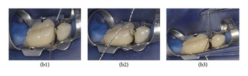 Details are in the caption following the image Details are in the caption following the image