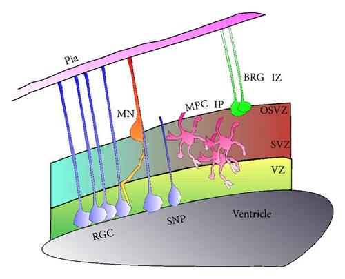 Details are in the caption following the image