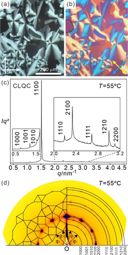 Details are in the caption following the image Details are in the caption following the image