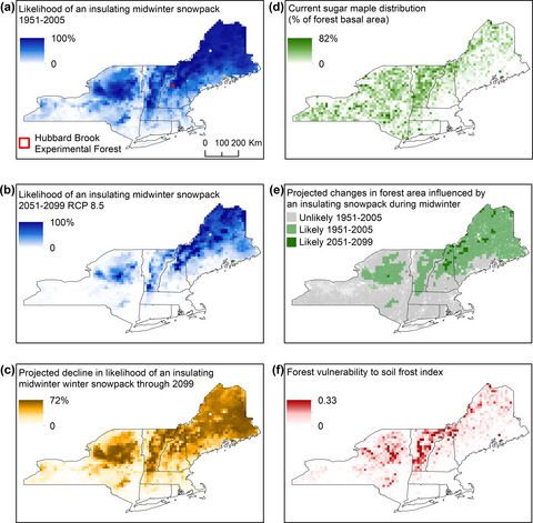Declines in northern forest tree growth following snowpack decline and soil freezing