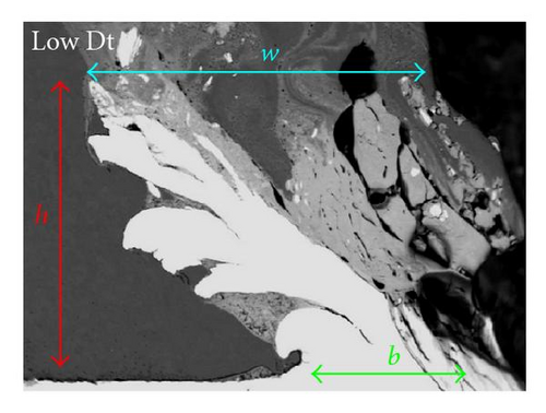 Details are in the caption following the image Details are in the caption following the image