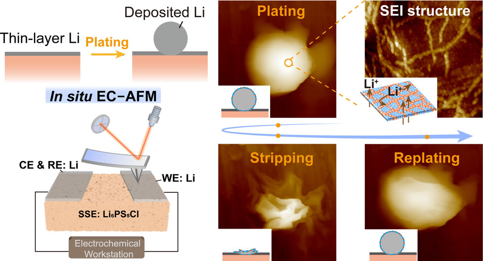 Nanoscale Visualization of Lithium Plating/Stripping Tuned by On-site Formed Solid Electrolyte Interphase in All-Solid-State Lithium-Metal Batteries