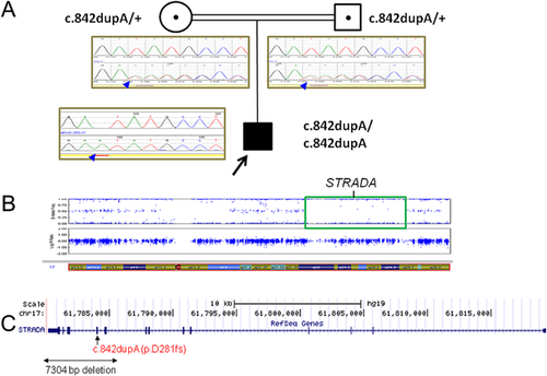 Details are in the caption following the image Details are in the caption following the image
