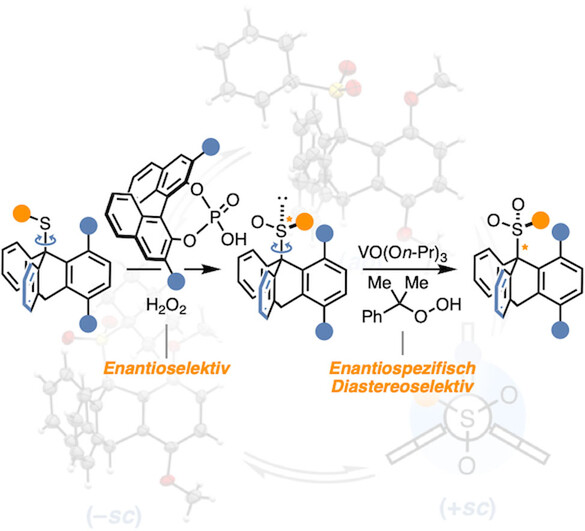 Katalysatorkontrolle über dreifache Stereogenität: Selektive Synthese atropisomerer Sulfone mit stereogenen C−S-Achsen