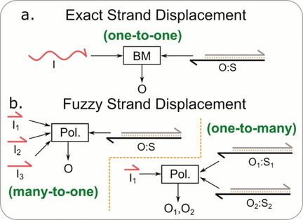 Fuzzy DNA Strand Displacement: A Strategy to Decrease the Complexity of DNA Network Design