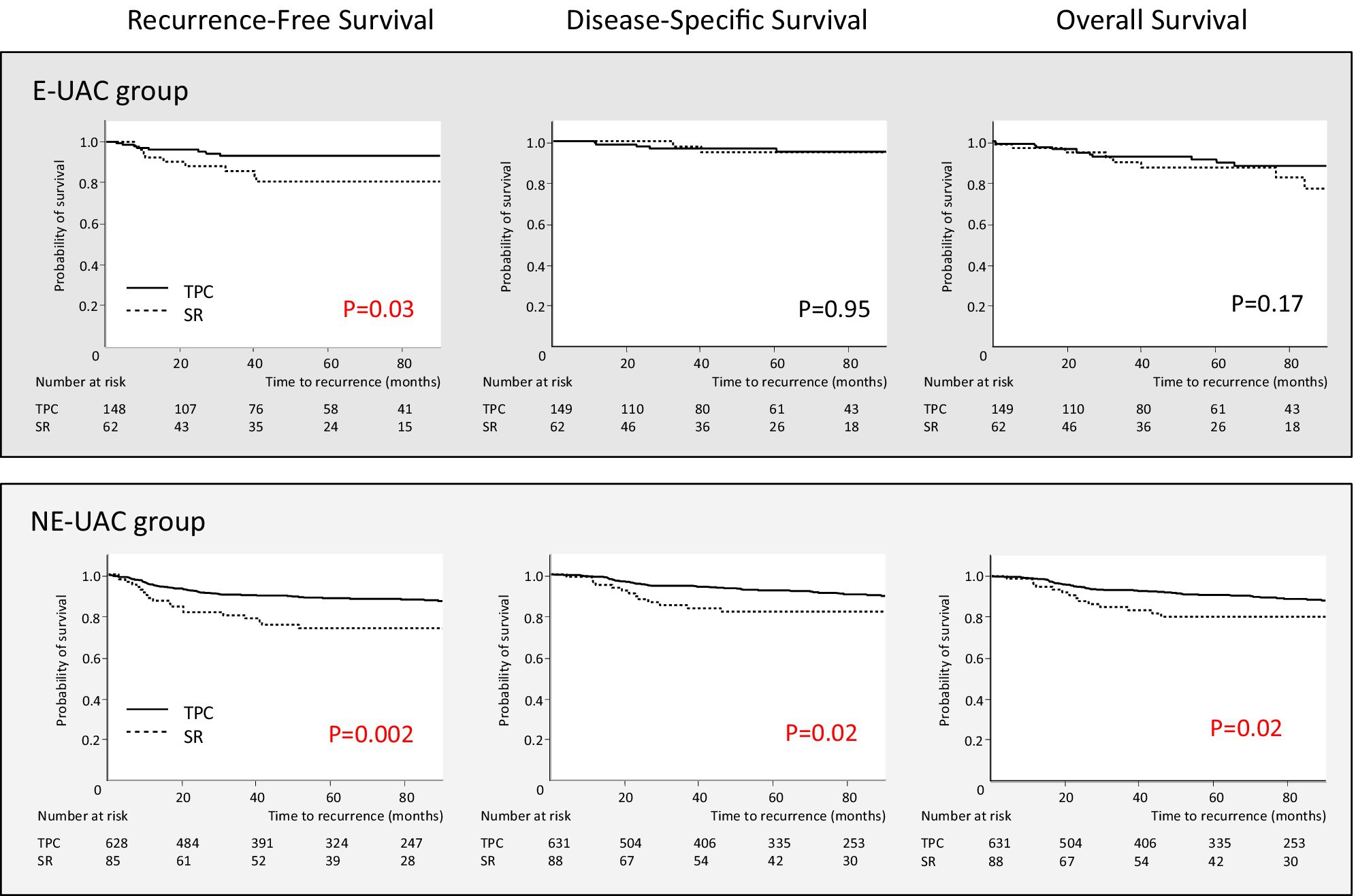Prognostic value of surgical treatment in elderly patients with ulcerative colitis-associated colorectal cancer: A subanalysis of a nationwide Japanese multicenter study