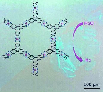 Large-Area, Free-Standing, Two-Dimensional Supramolecular Polymer Single-Layer Sheets for Highly Efficient Electrocatalytic Hydrogen Evolution