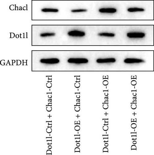 Details are in the caption following the image
