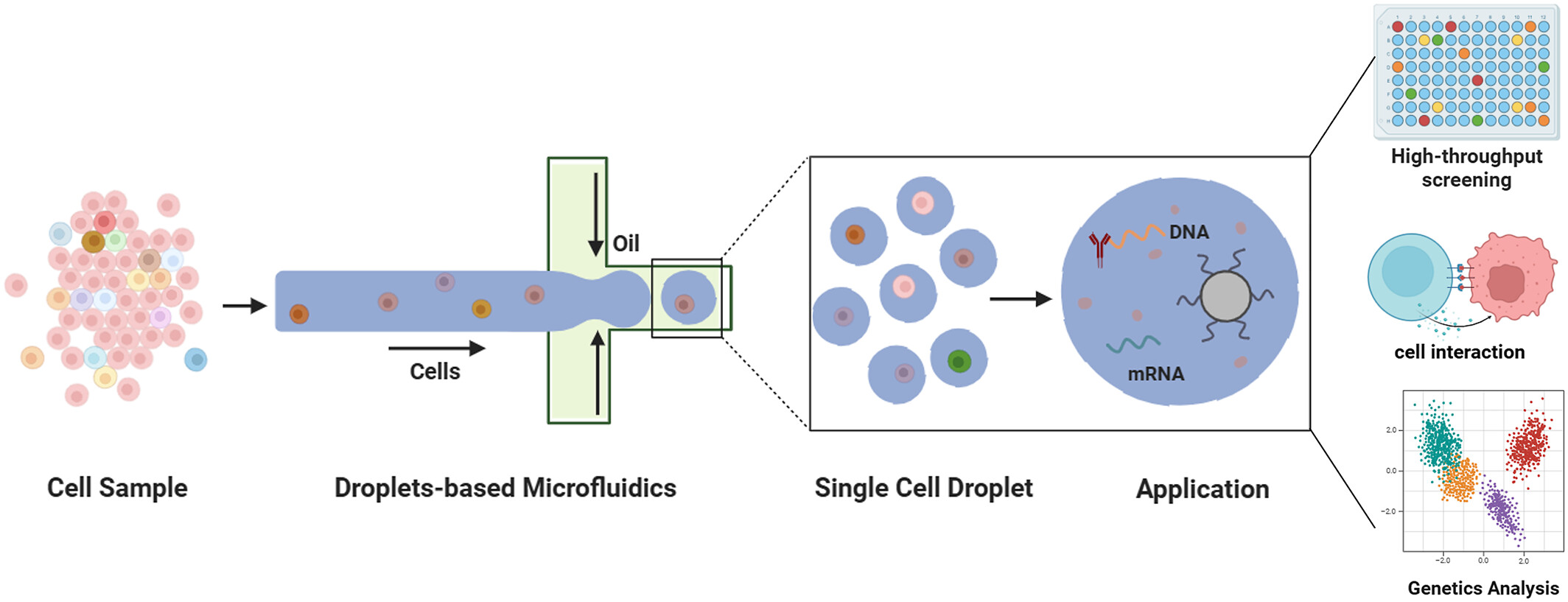 Droplet Microfluidics for Advanced Single-Cell Analysis